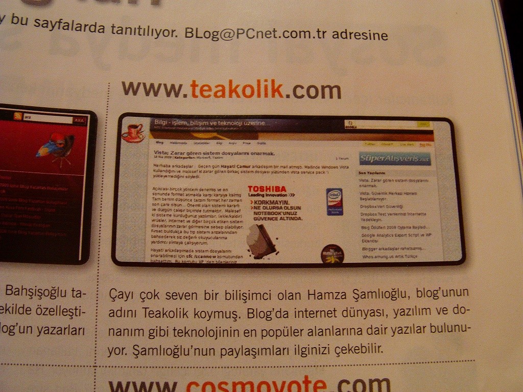 Hamza Teakolik Şamlıoğlu Teakolik Blog